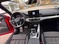 Audi A4 Avant 40 TDI quattro 3x S line ACC Rouge - thumbnail 20