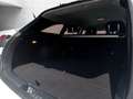 Kia Ceed SW / cee'd SW Ceed Sportswagon 1.6 PHEV Vision ACC+LED+Navi+SHZ Blanco - thumbnail 6