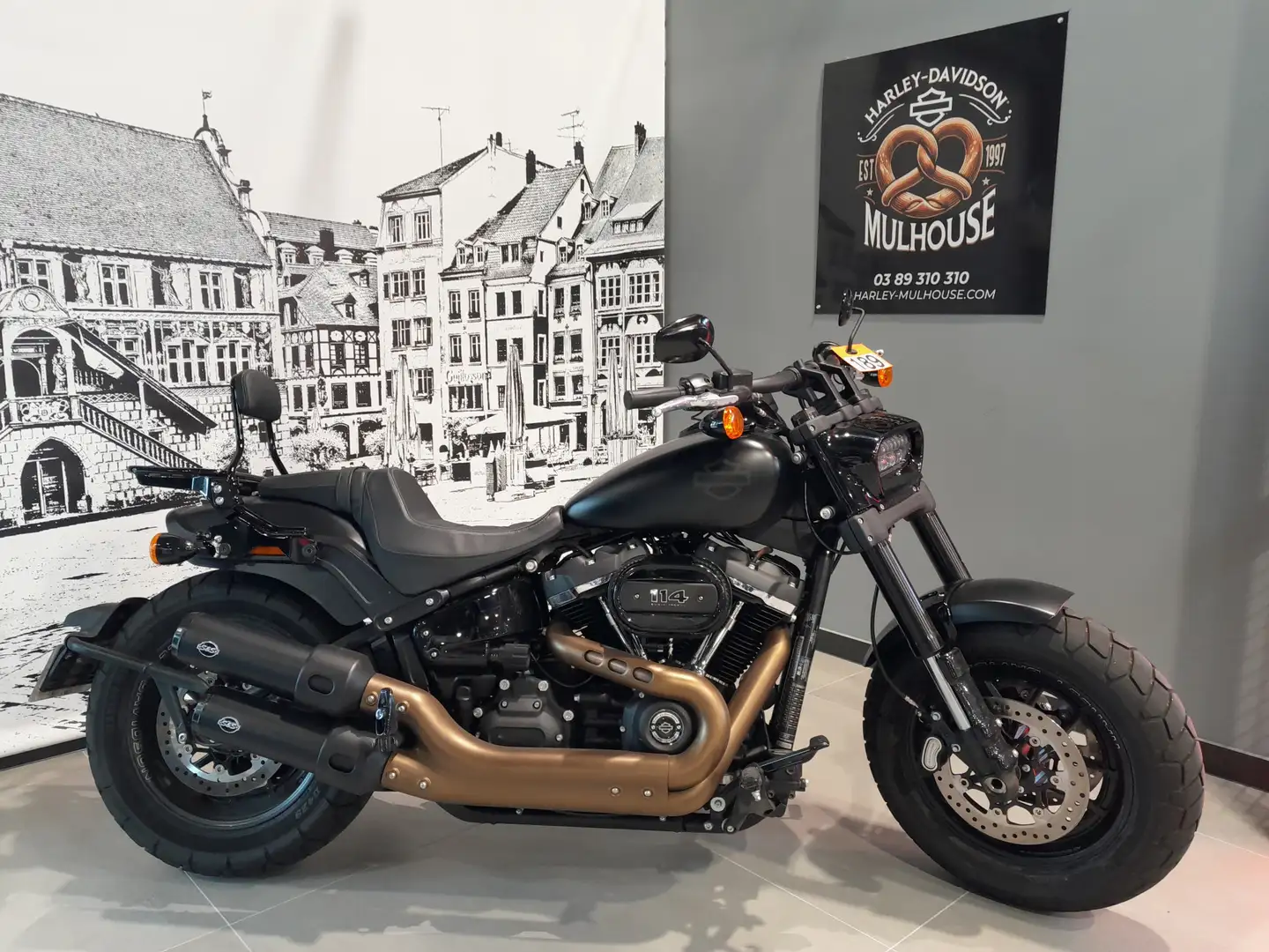 Harley-Davidson Softail - 1