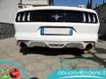 Ford Mustang 3700 V6 KM GARANTITI CARFAX White - thumbnail 15