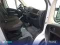 Citroen Jumper BlueHDi 103KW Furgón 35L3H2 Driver Blanco - thumbnail 16