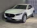 Mazda CX-30 5WGN 2.5L e-SKYACTIV G 140ps 6AT FWD Homura Weiß - thumbnail 1