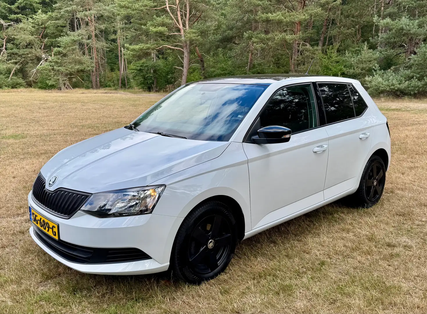 Skoda Fabia 1.0 Active Blanc - 1