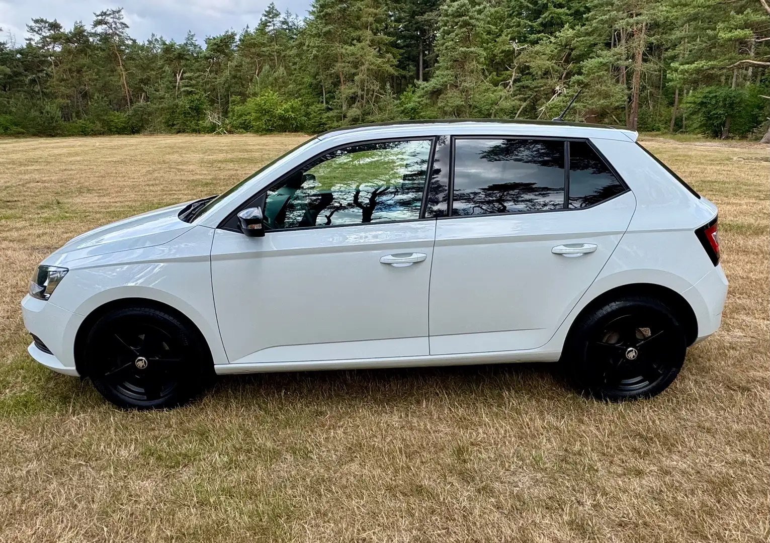 Skoda Fabia 1.0 Active Blanc - 2
