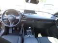 Mazda CX-30 CX-30 2.0 m-hybrid Homura 2wd 150cv 6mt Nero - thumbnail 7