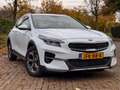 Kia XCeed XCEED 1.5TGDI MHEV 117KW DYNAMICLINE Wit - thumbnail 1