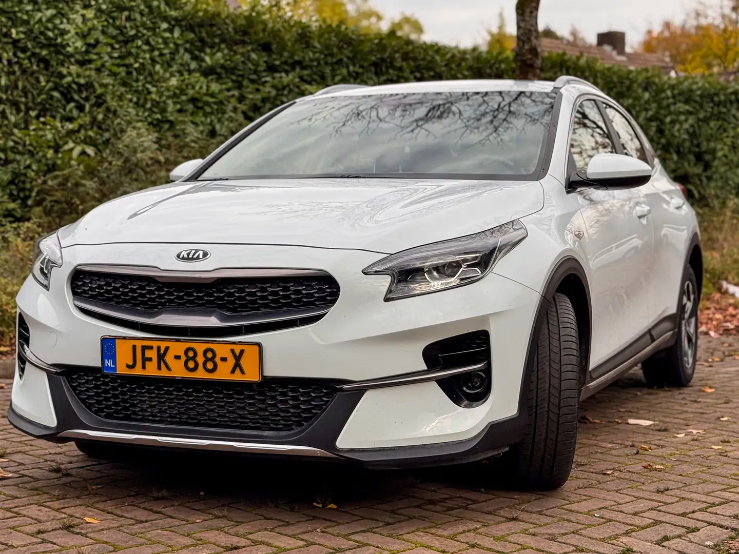 Kia XCeed XCEED 1.5TGDI MHEV 117KW DYNAMICLINE Wit - 2