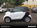 smart forTwo coupe Passion+Cool&Media+Komfort-P+Allwetter Weiß - thumbnail 4