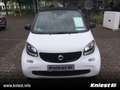 smart forTwo coupe Passion+Cool&Media+Komfort-P+Allwetter Weiß - thumbnail 2