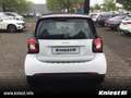 smart forTwo coupe Passion+Cool&Media+Komfort-P+Allwetter Weiß - thumbnail 6
