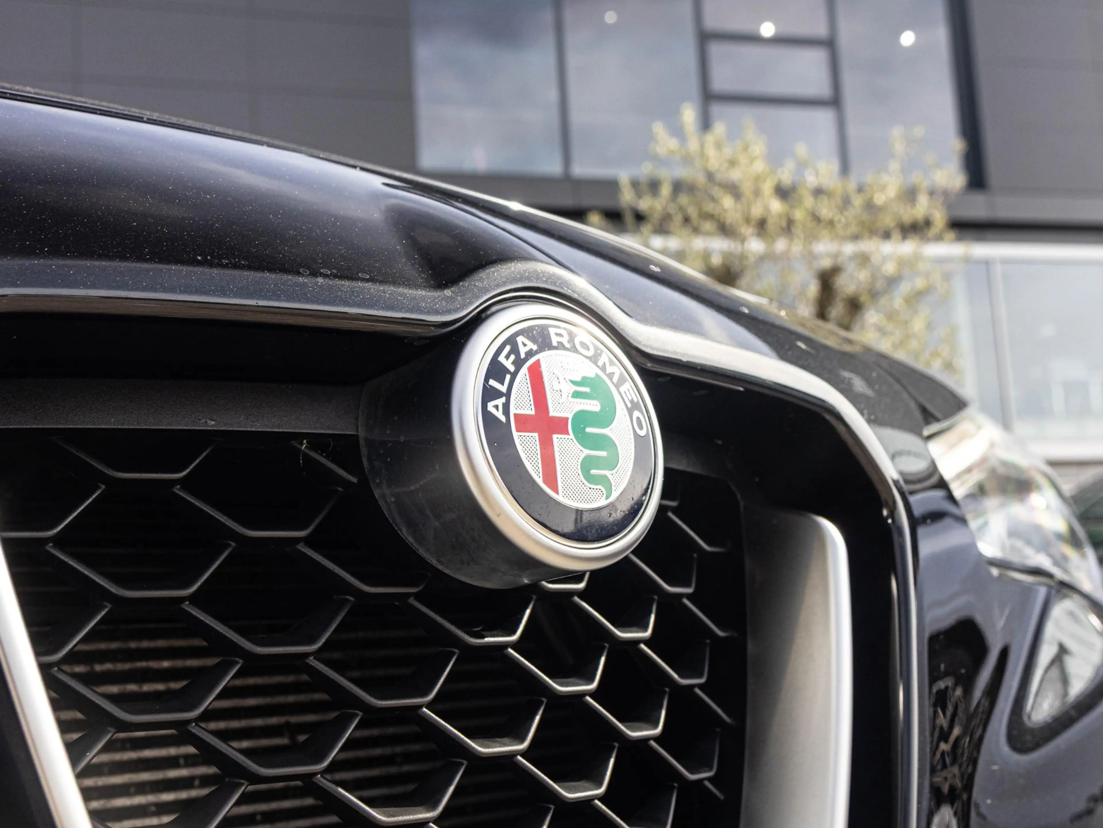Alfa Romeo Stelvio 2.0 T AWD B-Tech | Pano| Memory | ACC | 20" — photo 26
