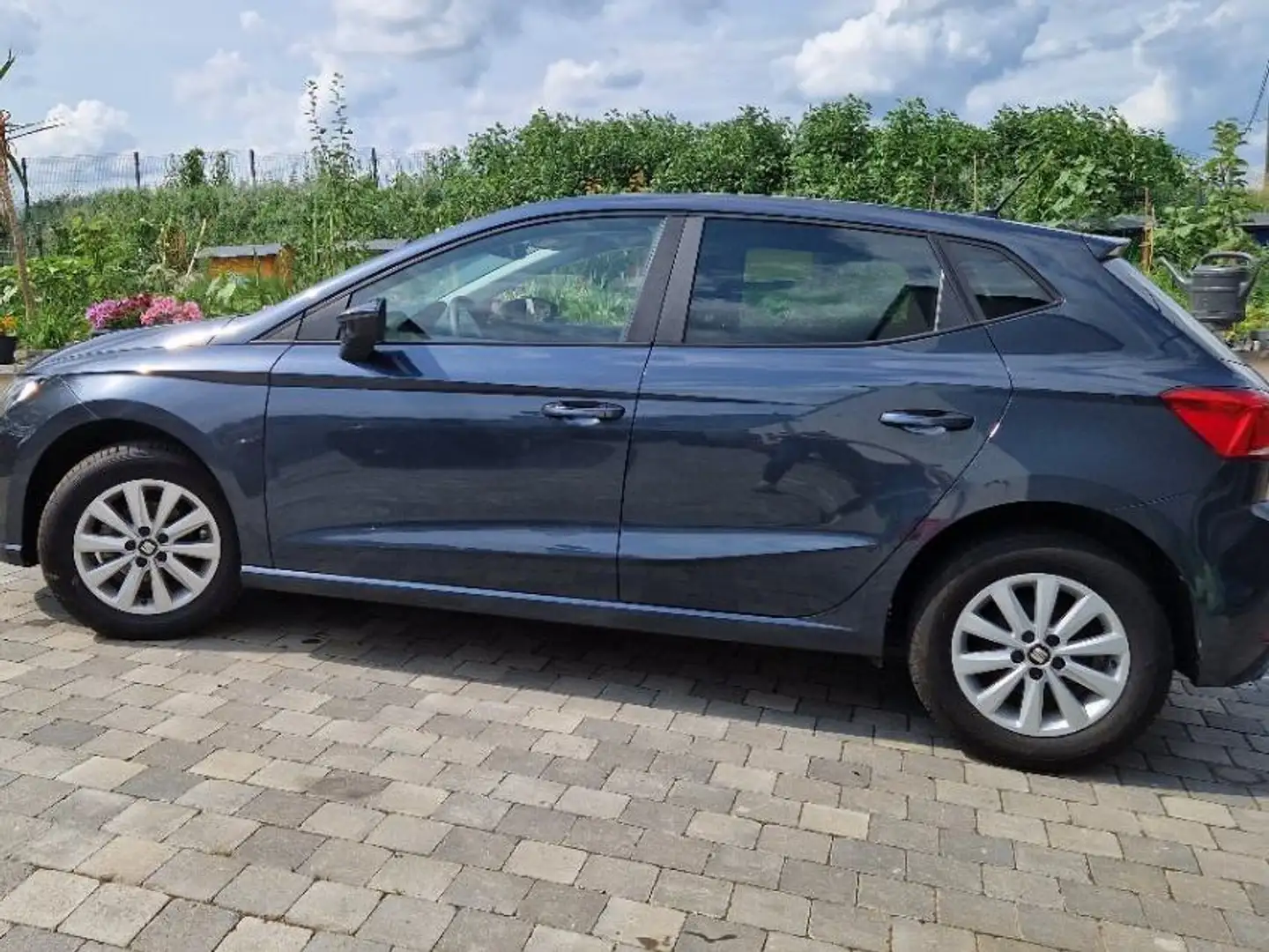 SEAT Ibiza 1.0 TSI Style Gris - 2