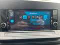 Volkswagen Caddy Basis Maxi / Kamera / Klima / Tempomat usw. Silber - thumbnail 19
