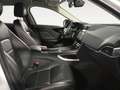 Jaguar F-Pace F-Pace 2.0i4D Prestige Aut. AWD 180 Prestige Blanco - thumbnail 12