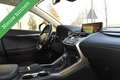 Lexus NX 300h AWD Sport Line PANORAMADAK/MATRIX/LEDER/CAMERA/ETC Grijs - thumbnail 6