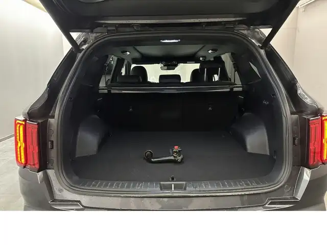 Kia Sorento view 15