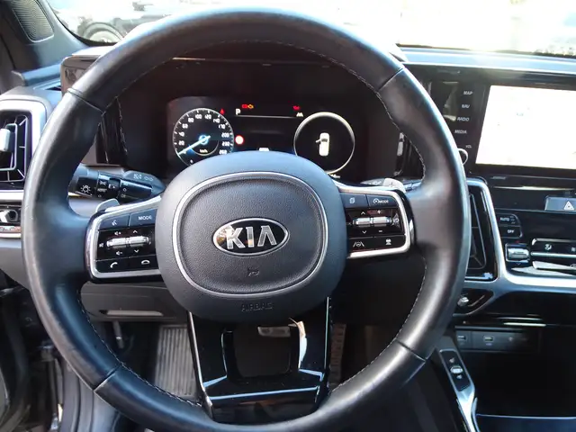 Kia Sorento view 11