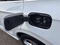 Audi Q5 55 2.0 tfsi e s line plus quattro 367cv s-tronic Weiß - thumbnail 12