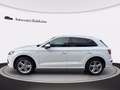 Audi Q5 55 2.0 tfsi e s line plus quattro 367cv s-tronic Weiß - thumbnail 3