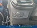 Ford Puma ST-Line Mild-Hybrid 92 kW ( 1,0 Ltr. - 125 PS E... Zwart - thumbnail 12