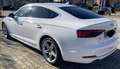 Audi A5 A5 Sportback40 2.0 tdi SLine s-tronic Bianco - thumbnail 1