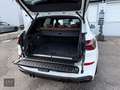 BMW X5 45e xDrive M-PAKET, PANORAMA, LUFT, LASER, ACC,... Weiß - thumbnail 21