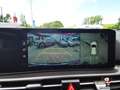Kia Sportage 1.6 CRDI DCT Spirit +LED+360Kamera+Navi+18Zoll Grau - thumbnail 9