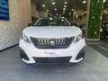 Peugeot 3008 BlueHDi 130 S&S EAT8 Allure * Garanzia 2 anni Bianco - thumbnail 2
