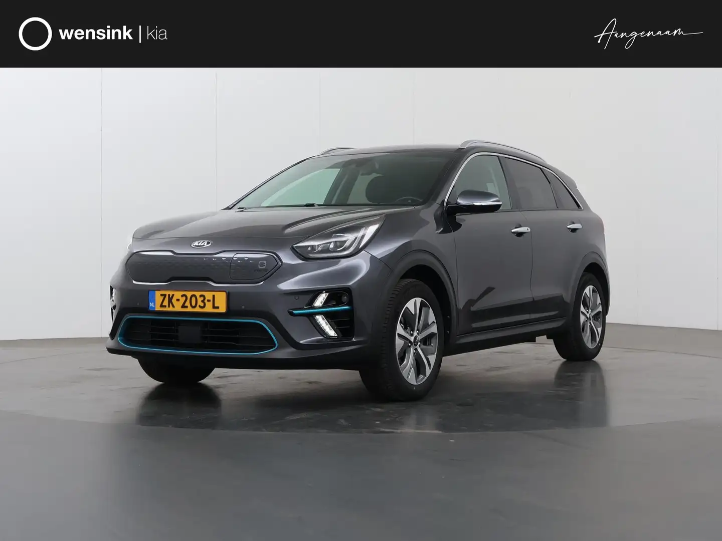 Kia e-Niro ExecutiveLine 64 kWh | Panoramadak | Lederen Bekle Grau - 1