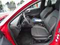 Ford Focus 1.5 Ecoblue ST-Line X +LED+Panorama+B&O+ACC+18" Rojo - thumbnail 11