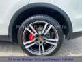 Porsche Cayenne CAYENNE 3.0 D BI-XENON|NAVI|LEDER|GSHD|R-KAMERA Blanc - thumbnail 9