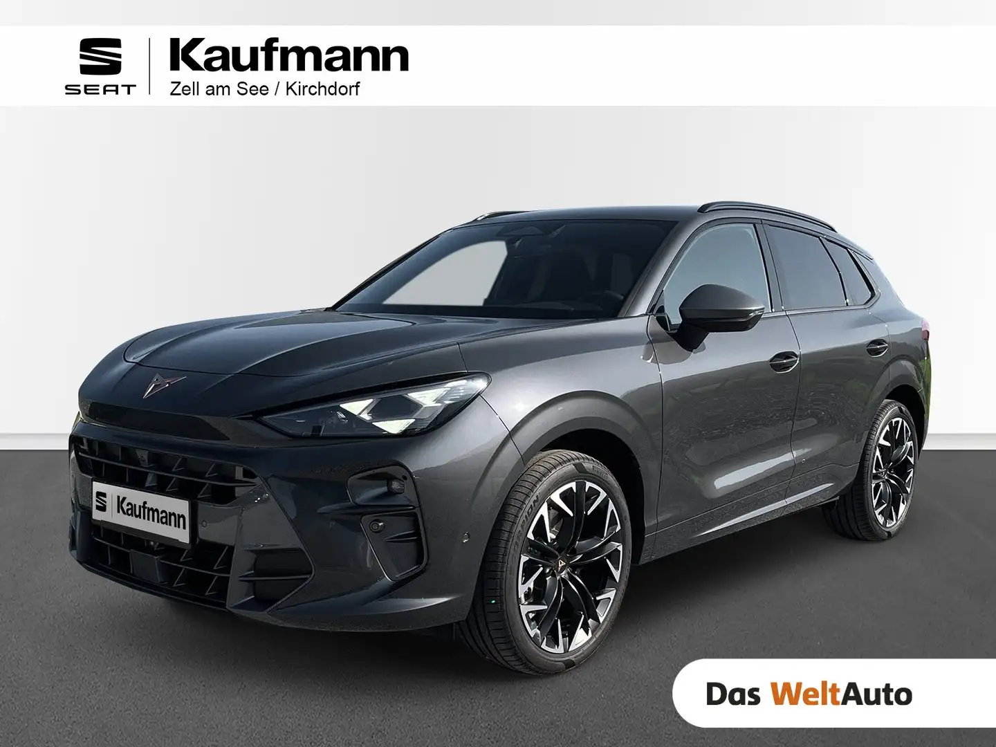 CUPRA Terramar 2.0 TSI 204 PS DSG 4Drive Gris - 1