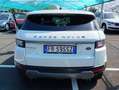 Land Rover Range Rover Evoque N1 AUTOCARRO 5 Posti Automatico  FR595SZ Bianco - thumbnail 5