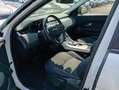Land Rover Range Rover Evoque N1 AUTOCARRO 5 Posti Automatico  FR595SZ Weiß - thumbnail 9