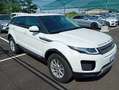 Land Rover Range Rover Evoque N1 AUTOCARRO 5 Posti Automatico  FR595SZ Weiß - thumbnail 2