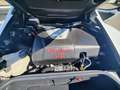 Alfa Romeo 4C Spider Wit - thumbnail 20