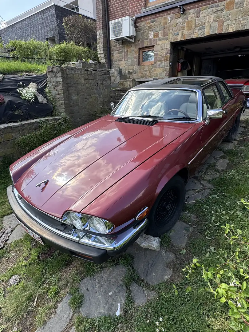 Jaguar XJSC XJS-C Targa - 1