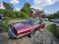 Jaguar XJSC XJS-C Targa - thumbnail 3