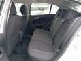 Fiat Tipo Tipo 5porte II 2021 5p 1.3 mjt Business s Grigio - thumbnail 15