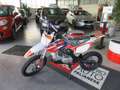 Otros Kayo   NEW PIT BIKE 2021 - 125cc TT 4T ruota 17/14 Rojo - thumbnail 2