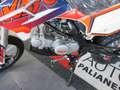 Sonstige Marken Kayo   NEW PIT BIKE 2021 - 125cc TT 4T ruota 17/14 Rot - thumbnail 5