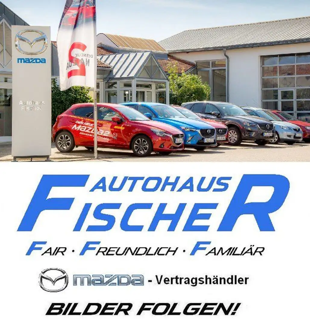 Mazda CX-5 SKYACTIV 194 Advantage NAVI/HUD/360°/WKR Grau - 1