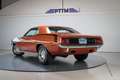 Plymouth HEMI 'Cuda Bruin - thumbnail 2