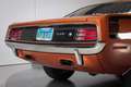Plymouth HEMI 'Cuda Bruin - thumbnail 16