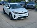 Kia Stonic 1.0 T 100 DCT Vision Navi Asisstenten Alb - thumbnail 2