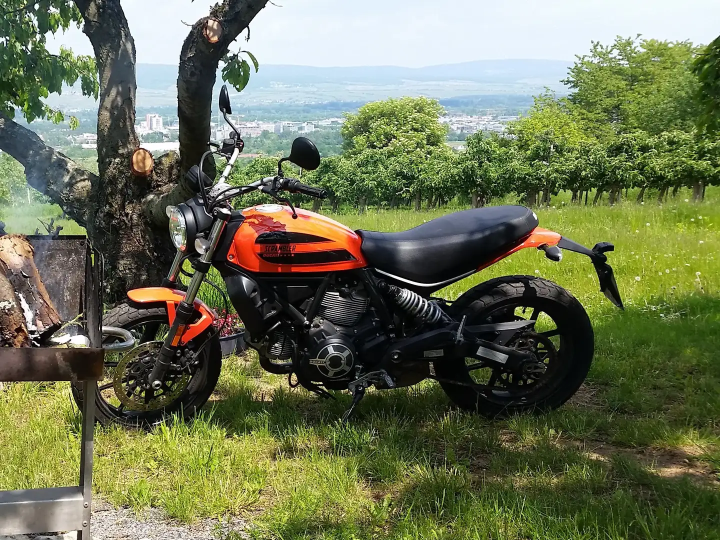 Ducati Scrambler Sixty 2 Pomarańczowy - 2