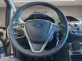 Ford Fiesta 1.4 TDCi 5p. Titanium Grigio - thumbnail 8