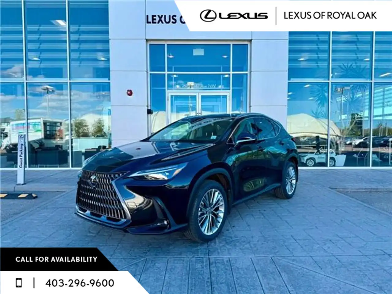 Lexus NX fotografie Lexus NX