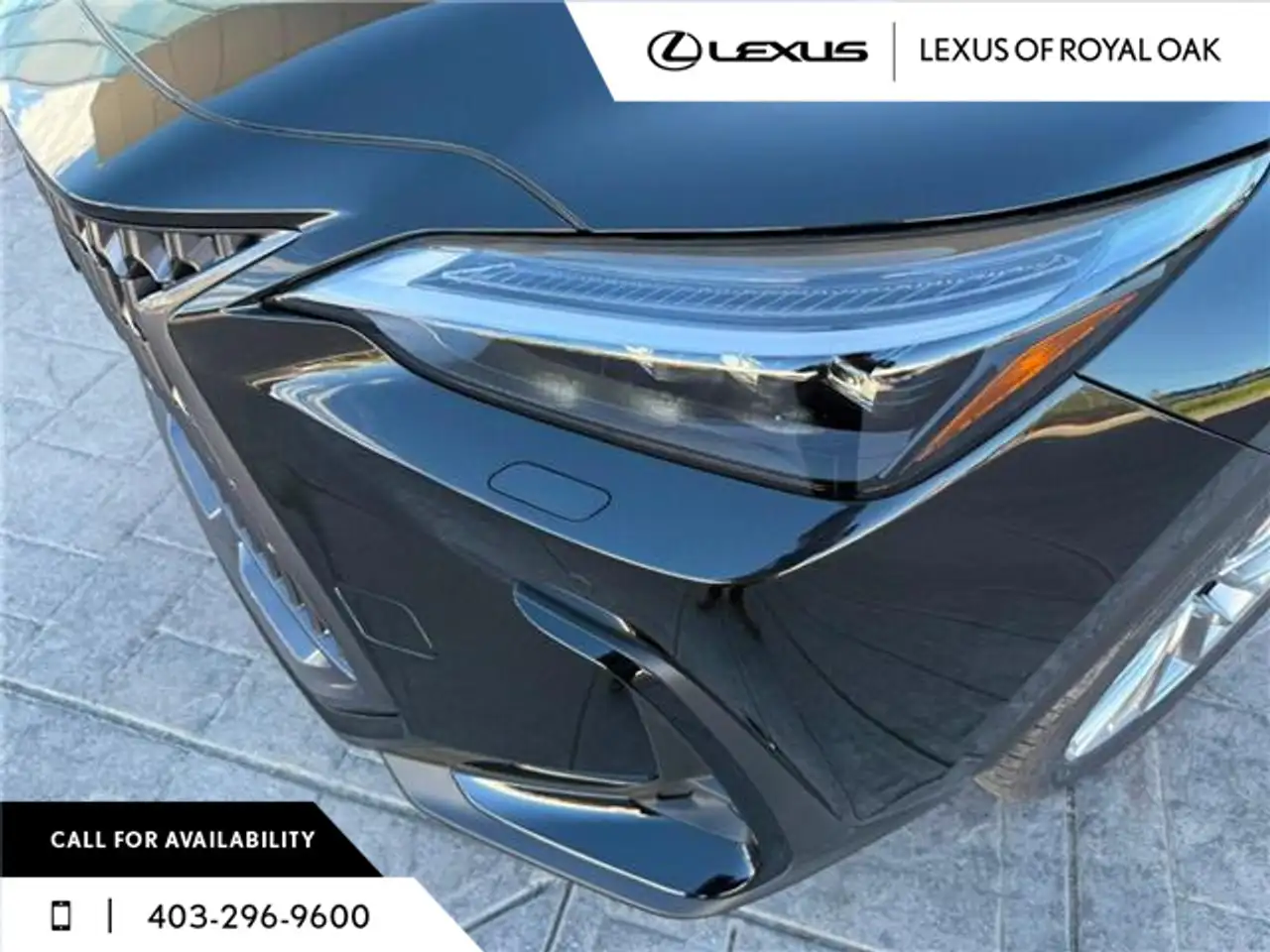 Lexus NX fotografie Lexus NX