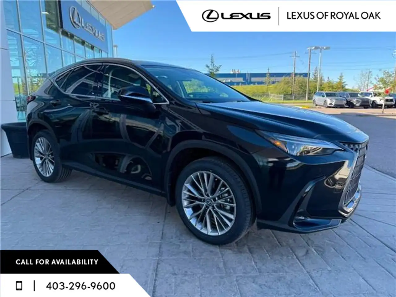 Lexus NX fotografie Lexus NX